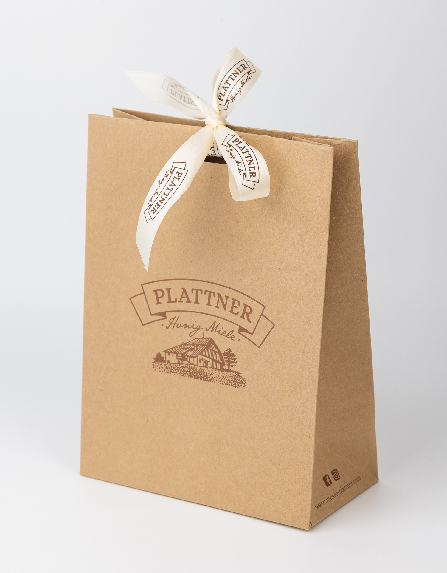 Papyrus Bolsa de regalo mediana de 9 pulgadas con papel de seda (zorro) para baby showers o cumpleaños (1 bolsa, 8 hojas